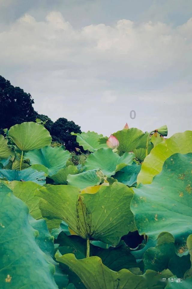 91减35巧算怎么算？游戏画面